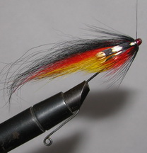 ���� ������� ���� TD Wiliegunn ( ��� ������ )
